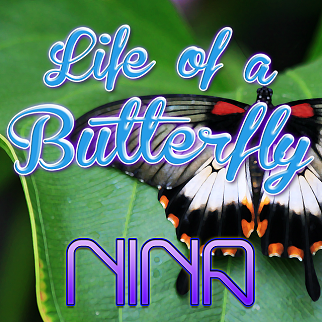 Cover art of Life Of A Butterfly